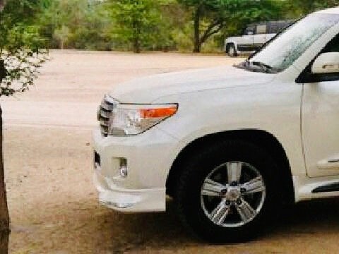 سلمان السعد