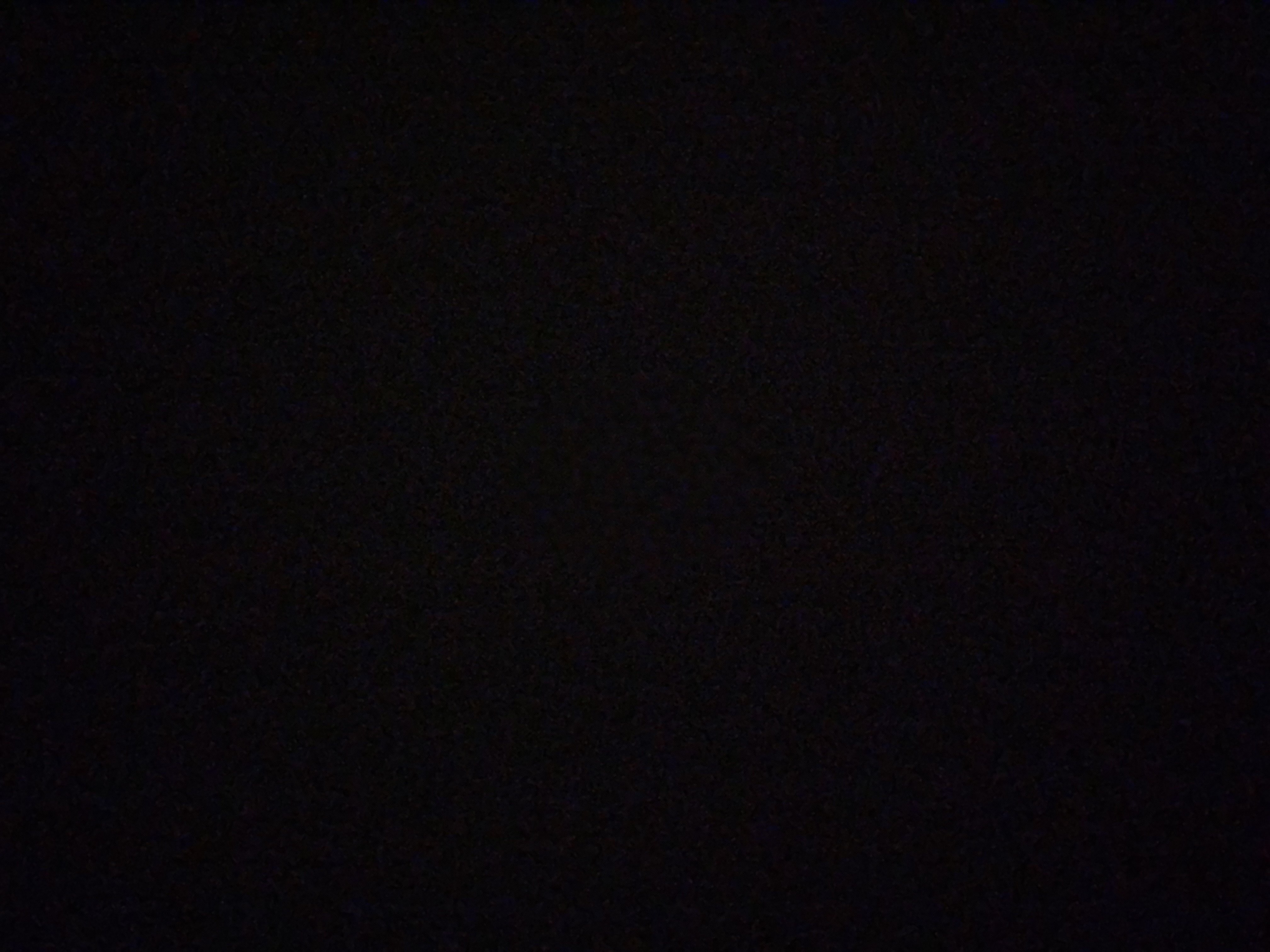 مشاري الحارثي