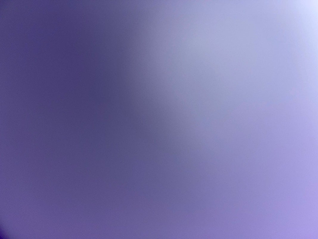 نوره الاكلبي