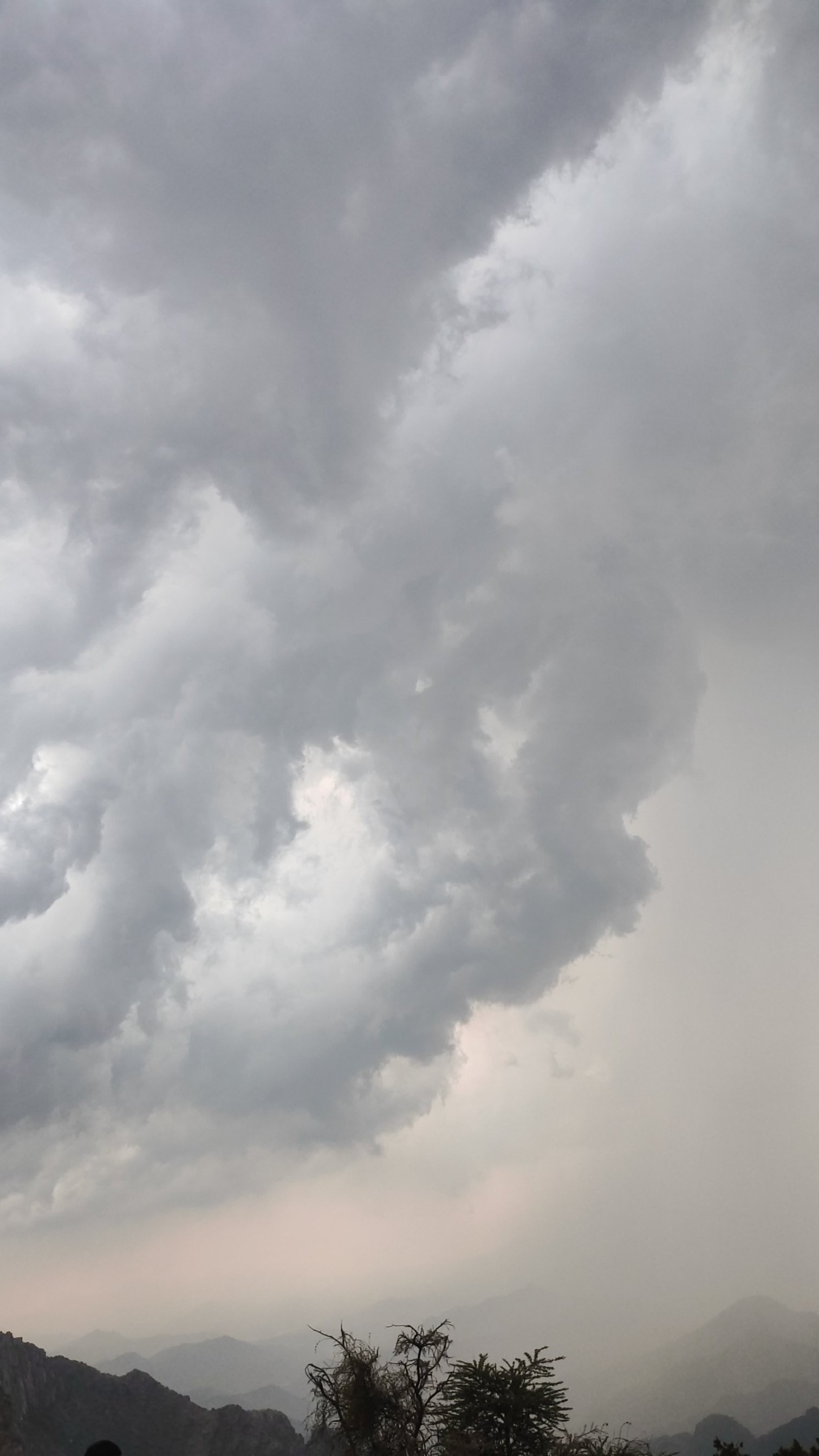 يوسف العنزي