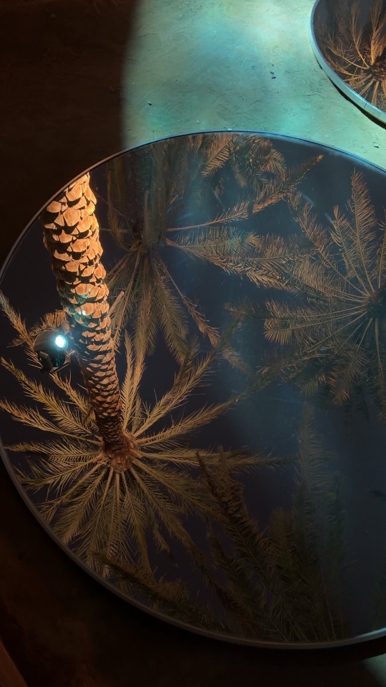 ماجد الحمران