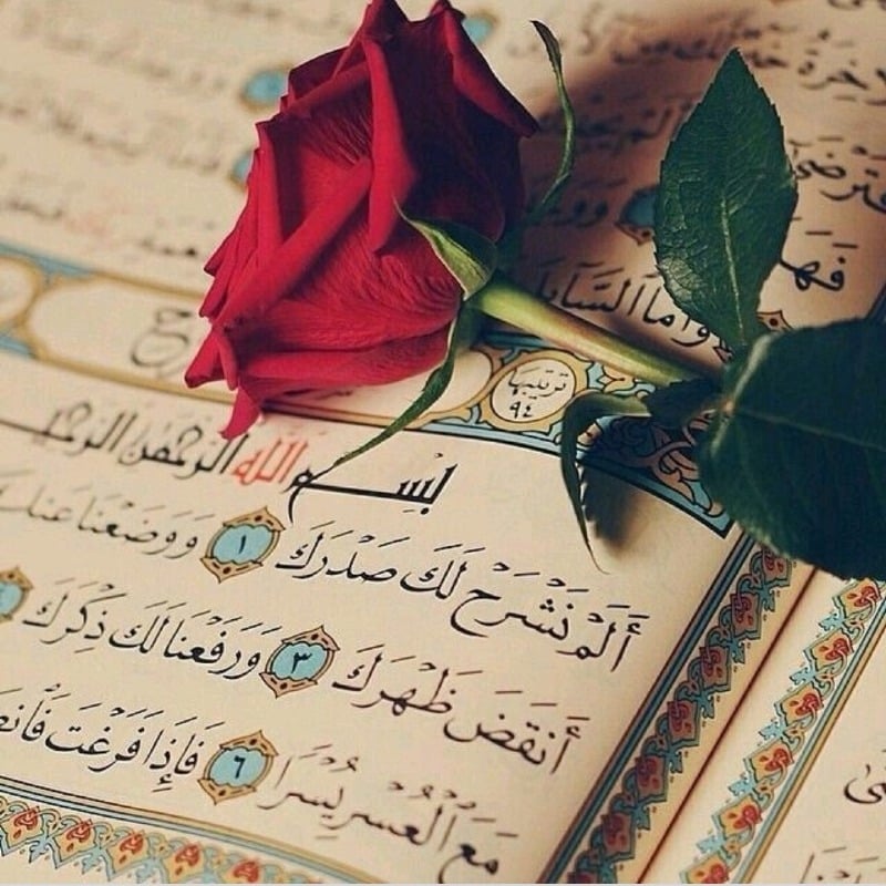 حسين المديني