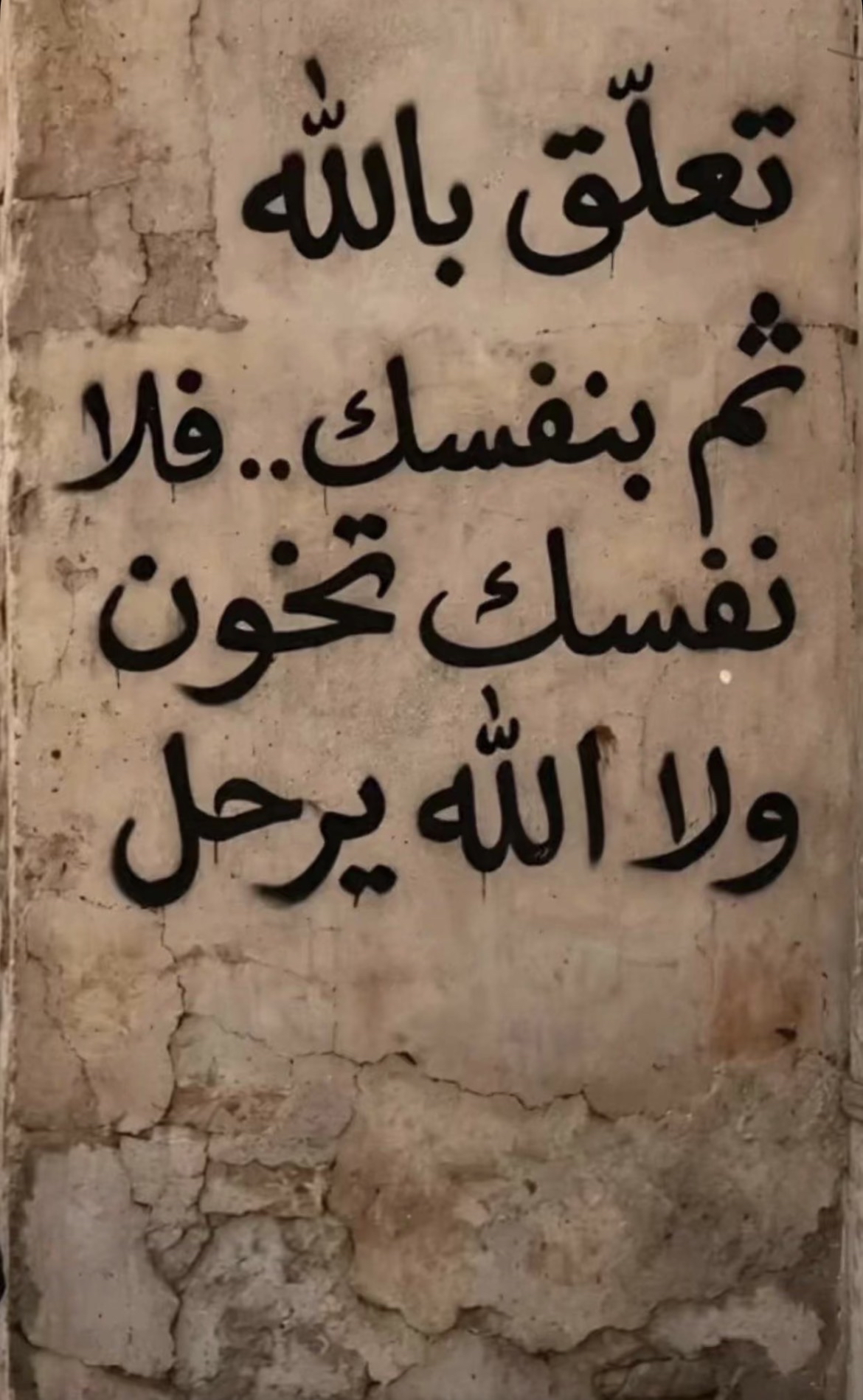 معتز المولد