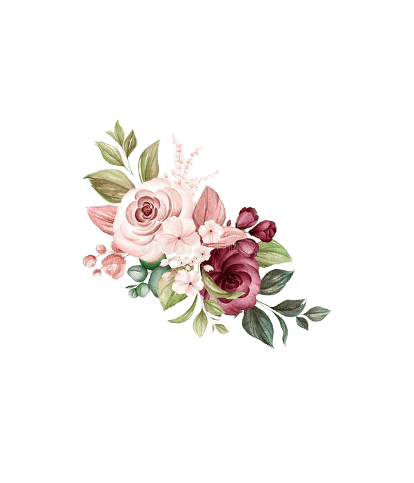 نوف عبدالله