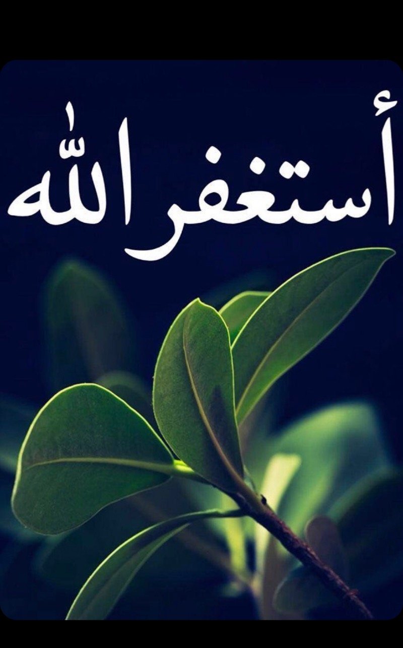 جميله الحربي