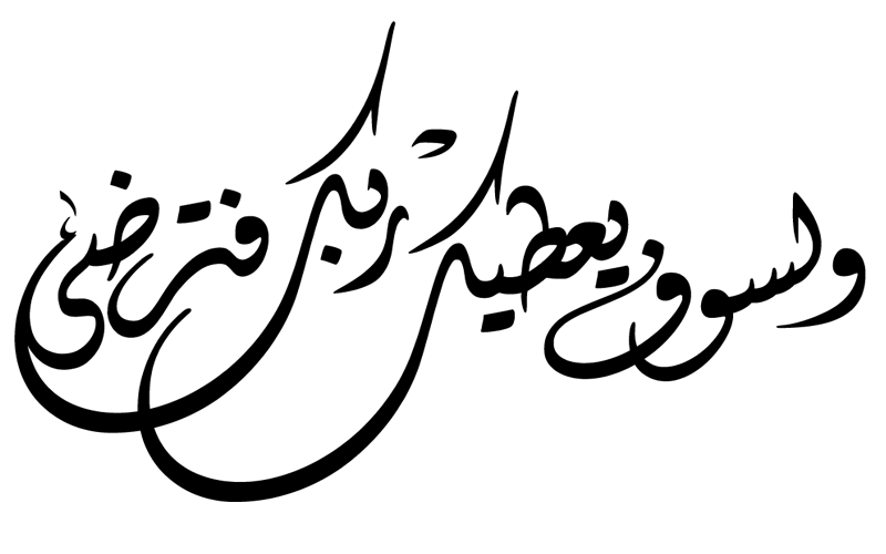 كريم حسين (30058962501243)