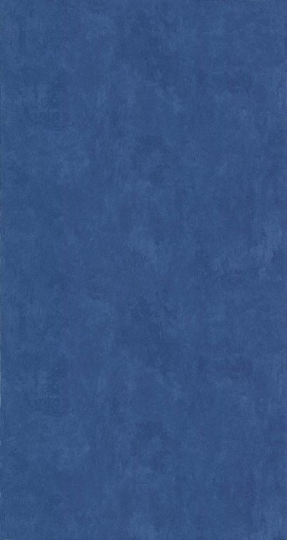 شادن الرشيدي