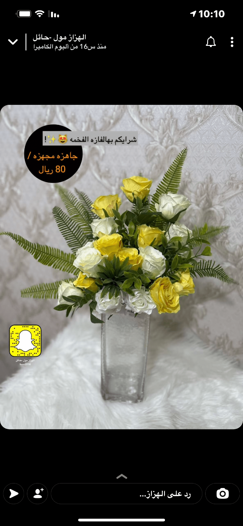 يوسف محمد