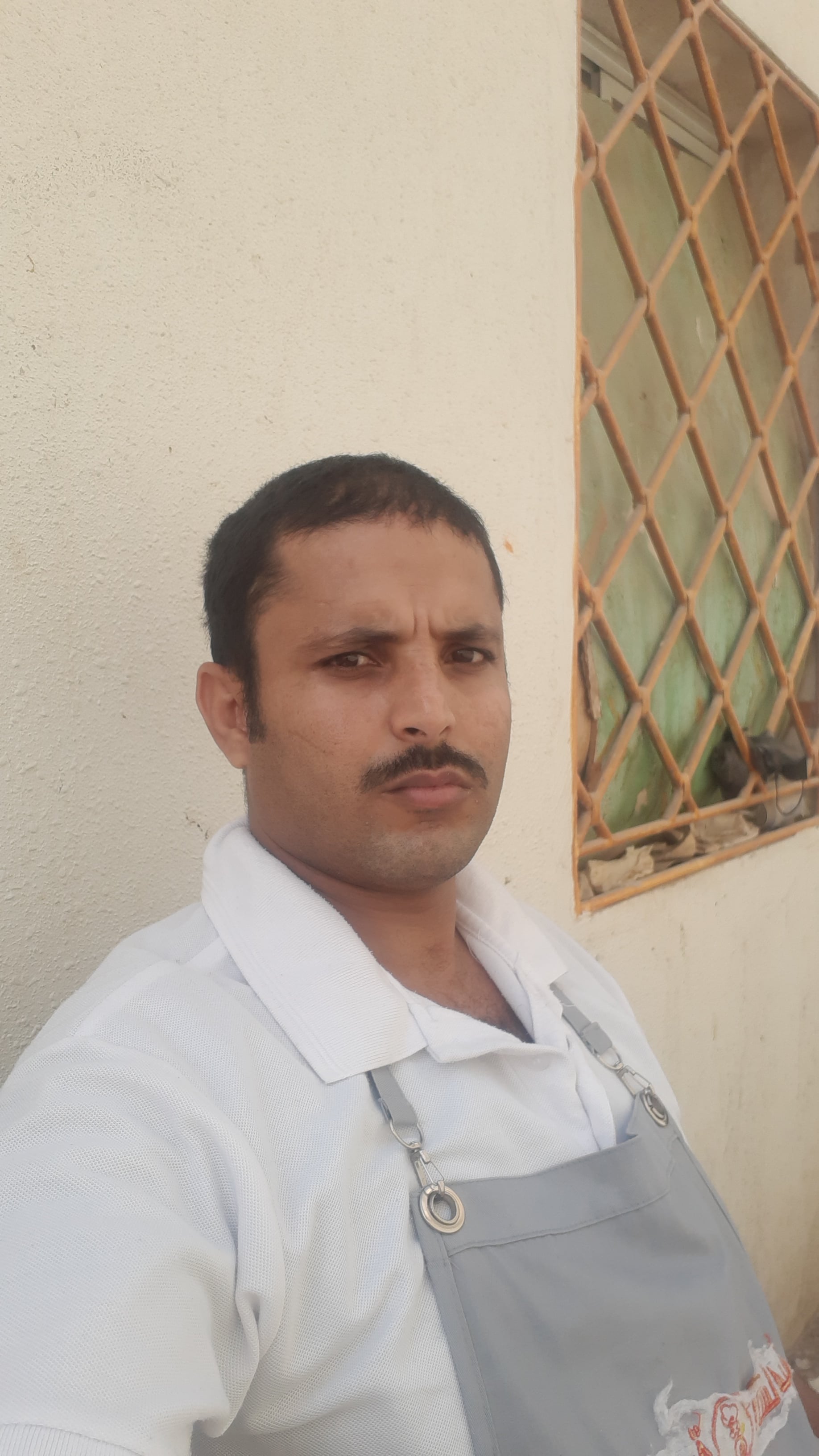 اديب سعيد