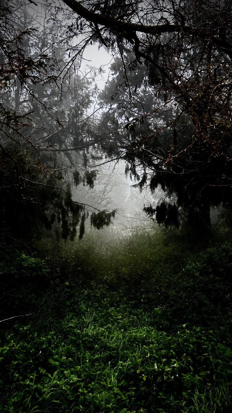 ابراهيم جابر البارقي