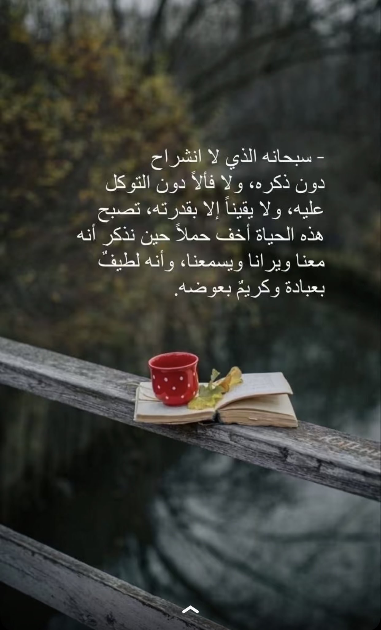 سعاد الغامدي