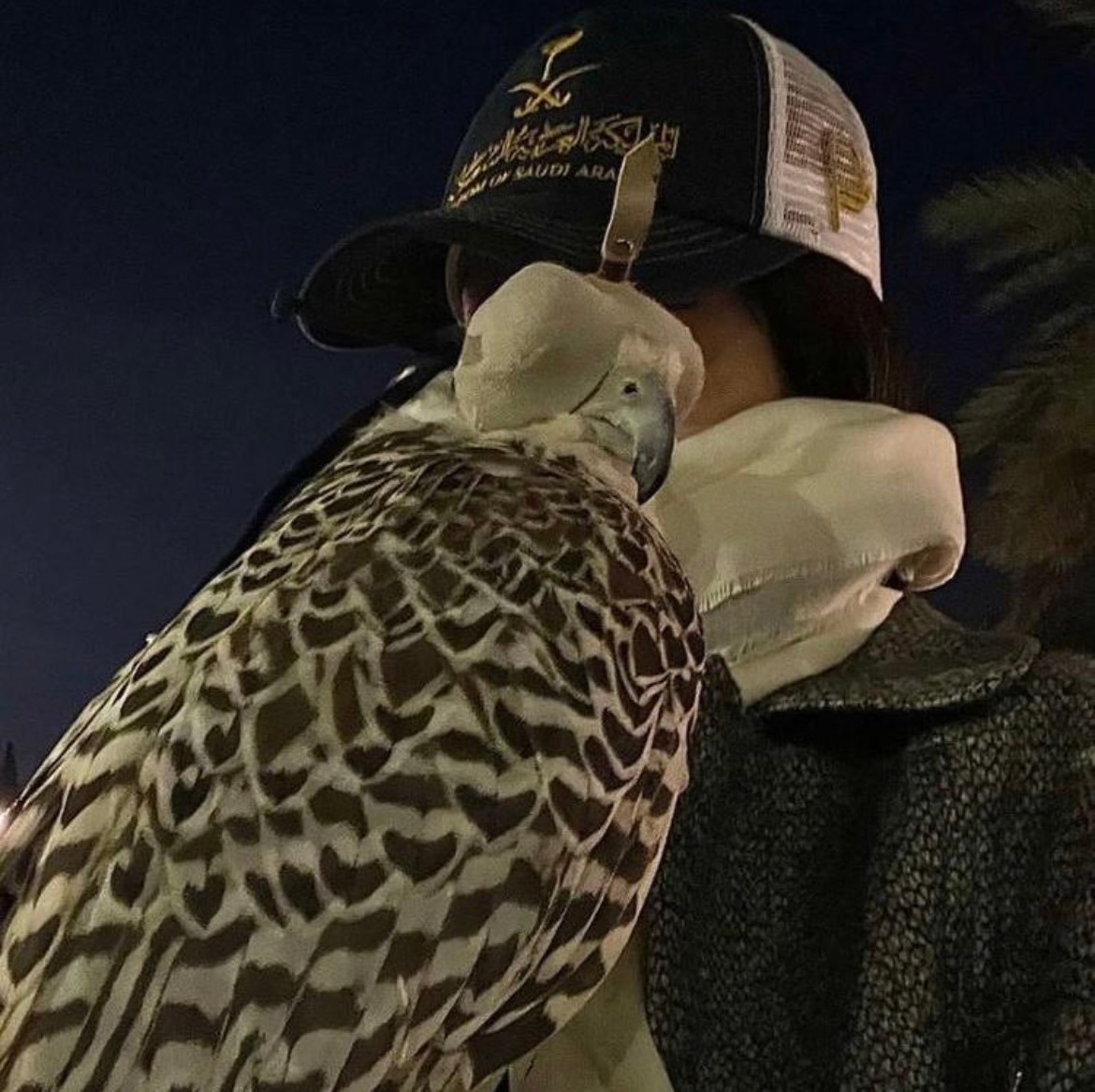 مرام دبجان المطيري