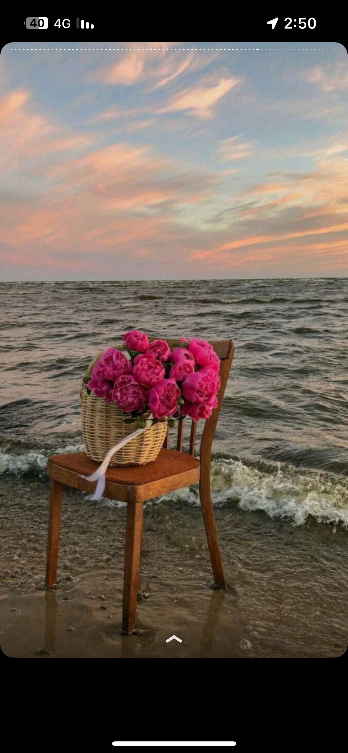 عايشه الحارثي