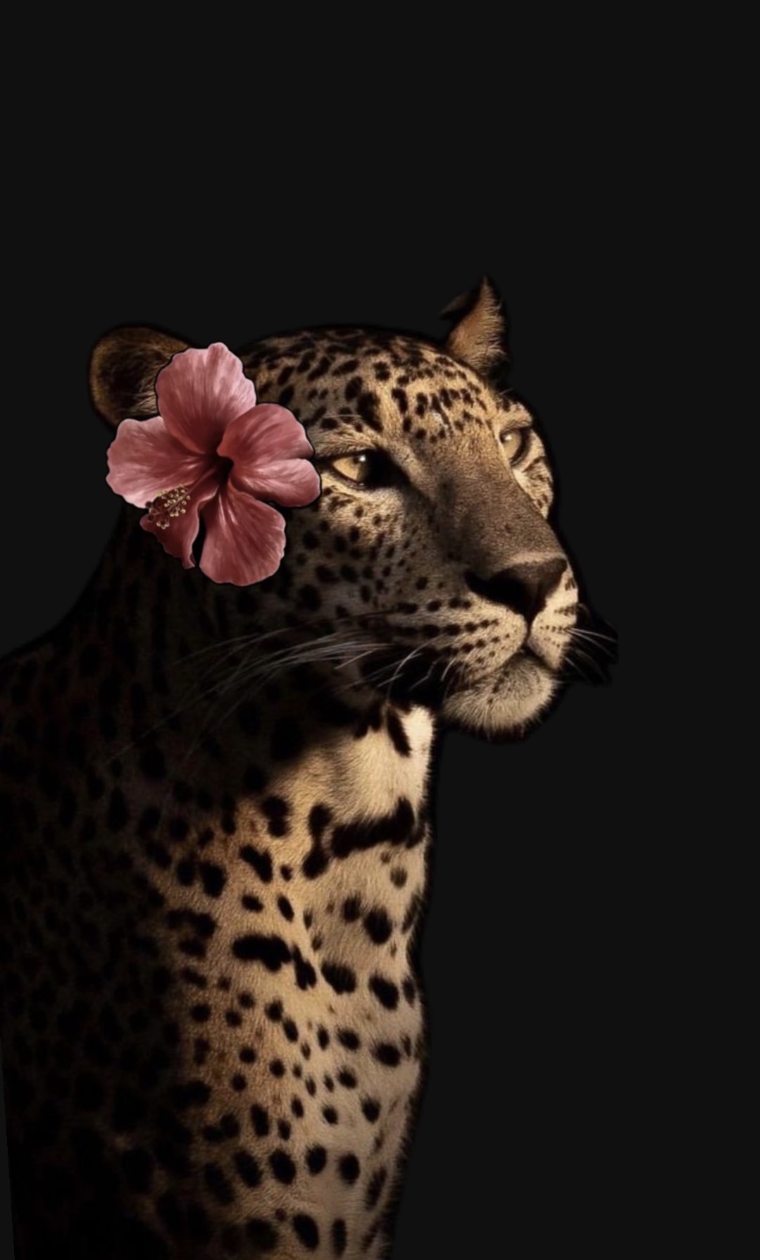 البندري العنزي