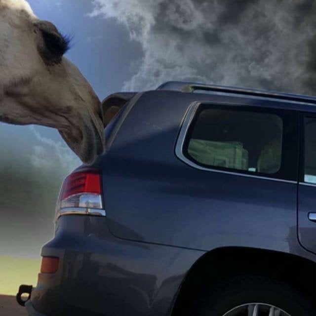 حسن العتيبي