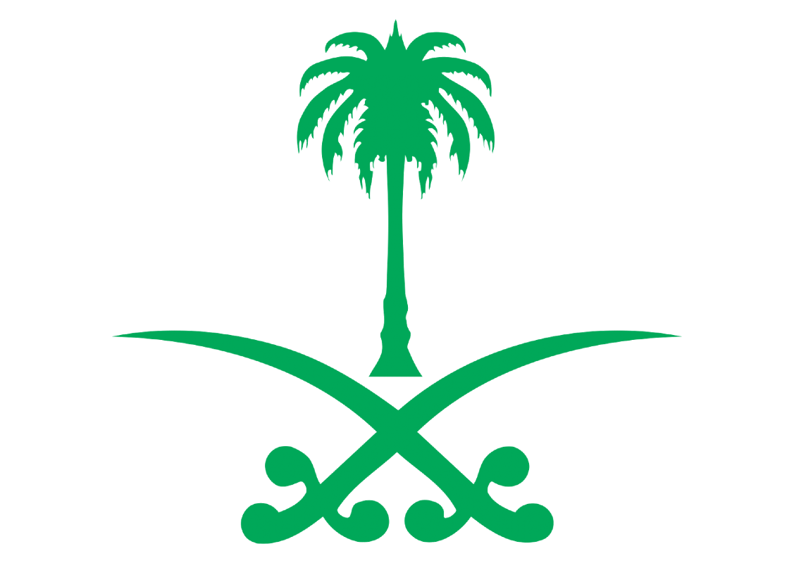 مرضي علي الغامدي