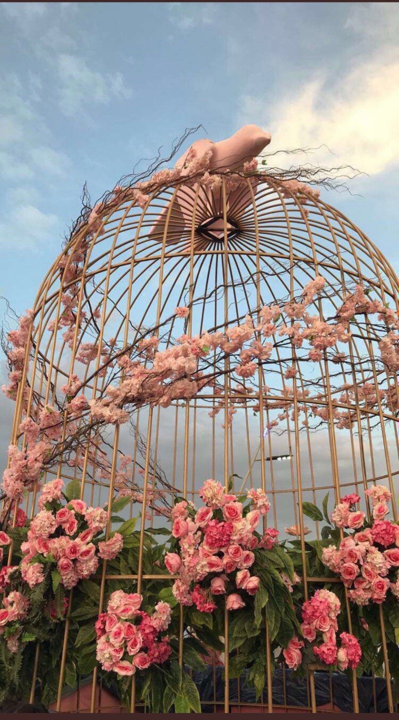 عبير عبدالله