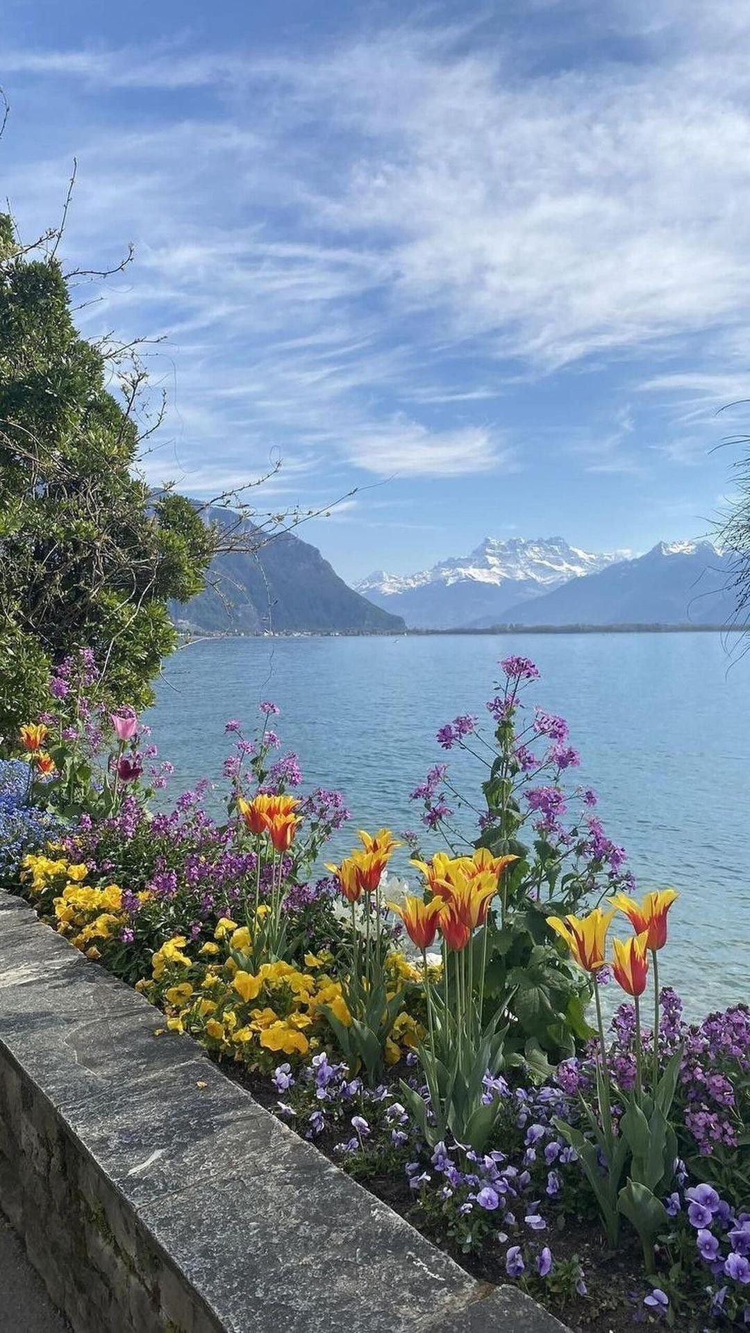 ام عبدالمحسن الصالح