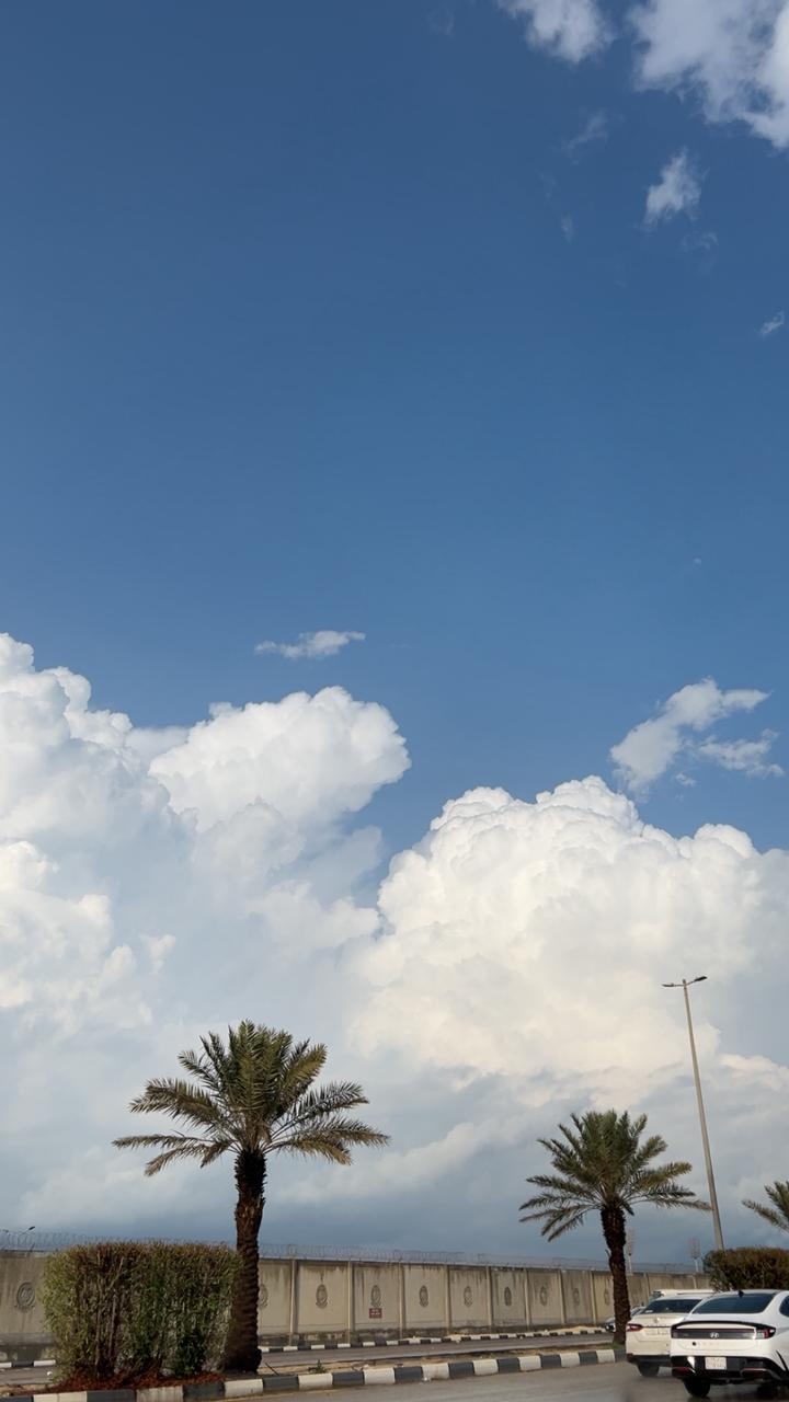 عبد العزيز محمد مساوى