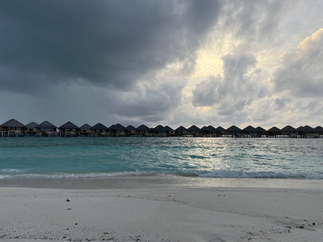 سعيد الريامي