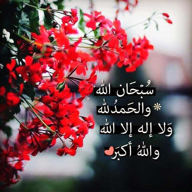 غاليه عبدالعزيز