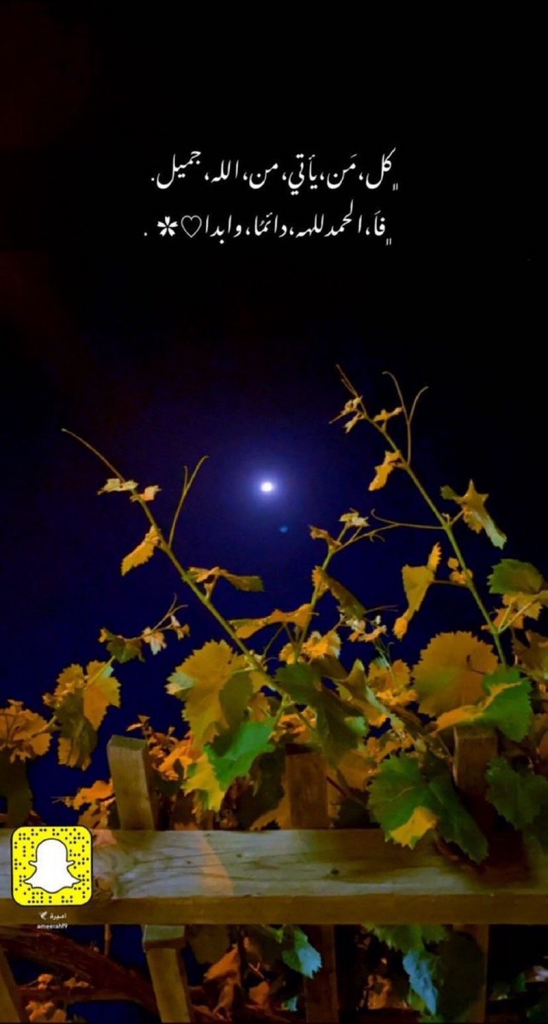 زهراء عبدالكريم