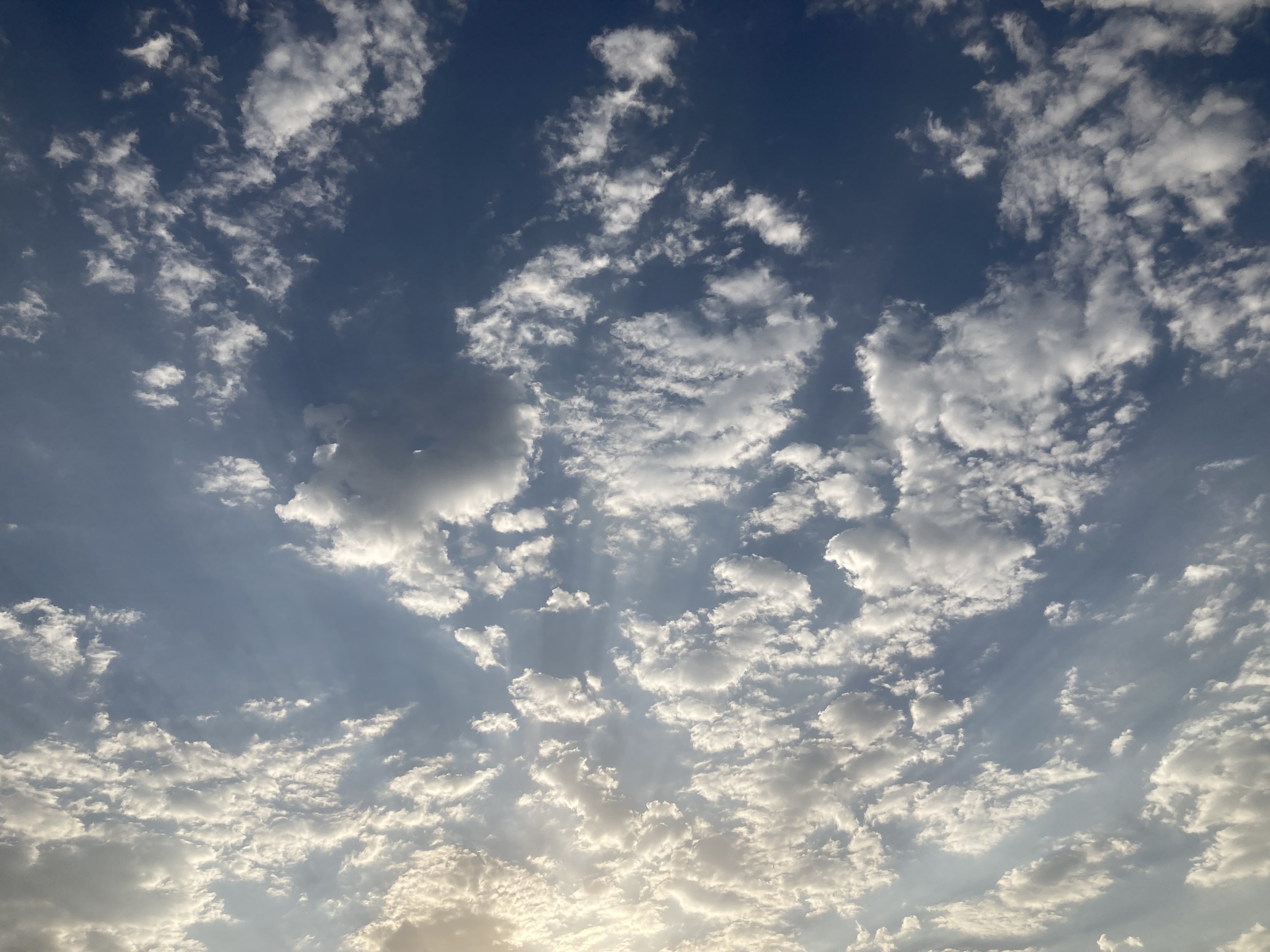 وتين الحربي