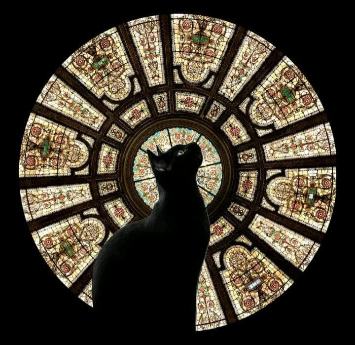 بشرى الطيار 