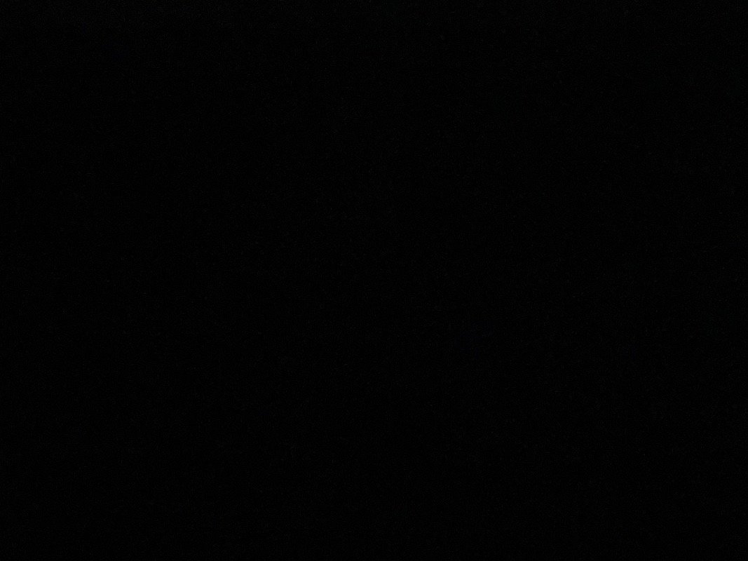 بدور العامري