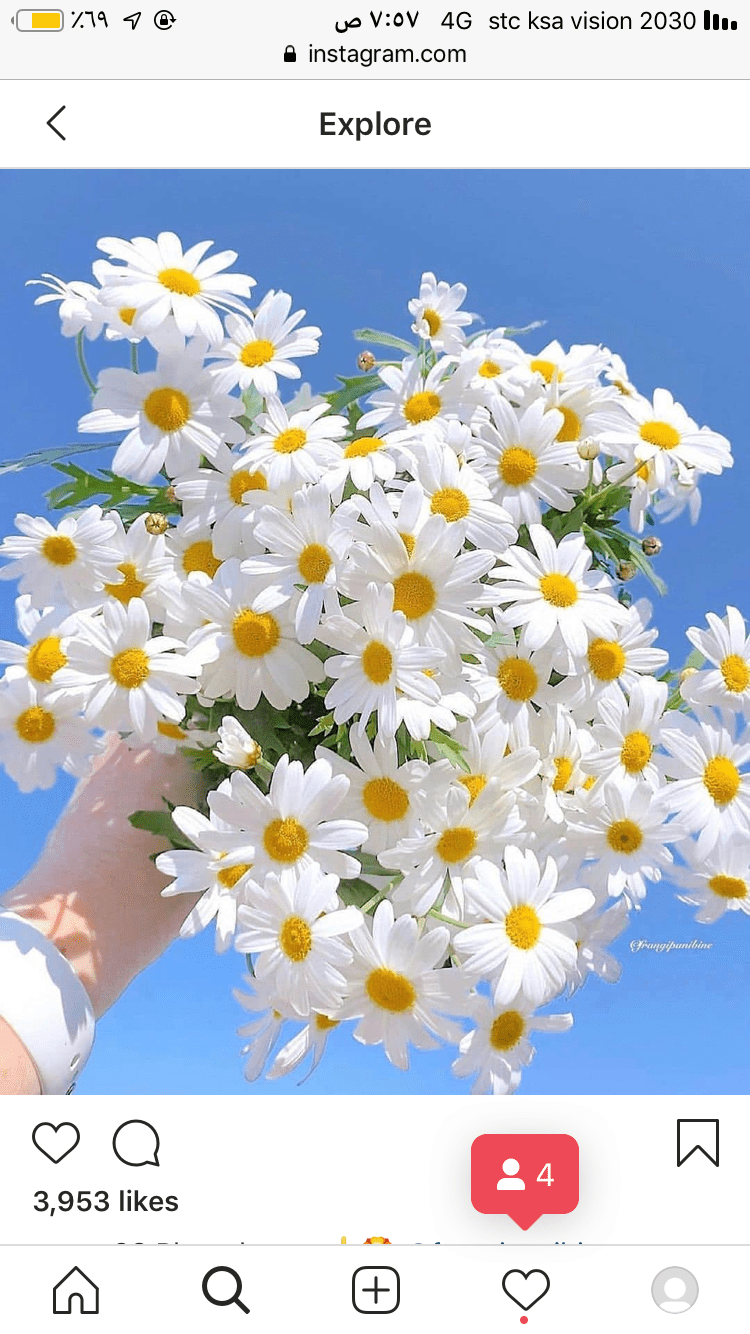 عائشة القحطاني