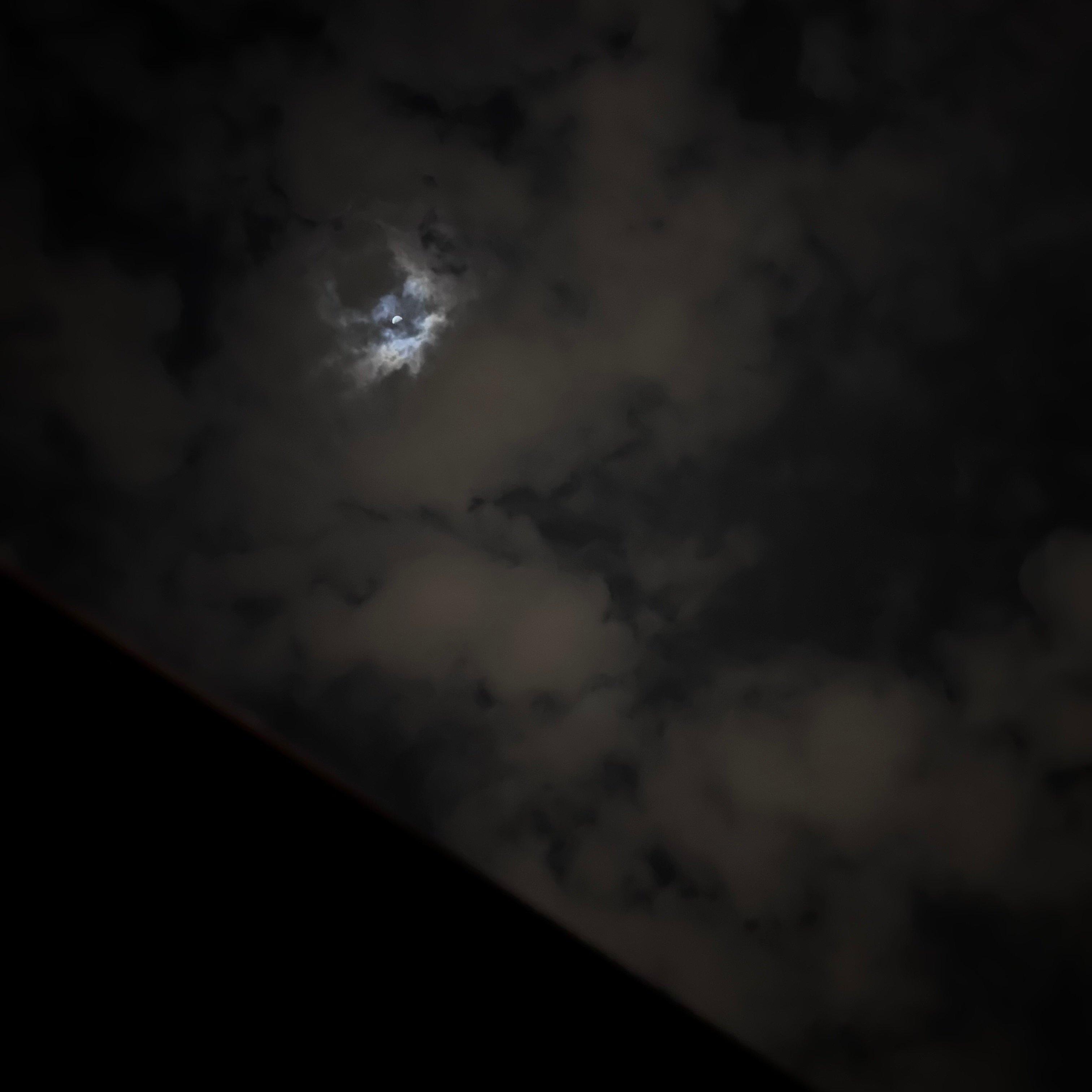 عهود الشمري