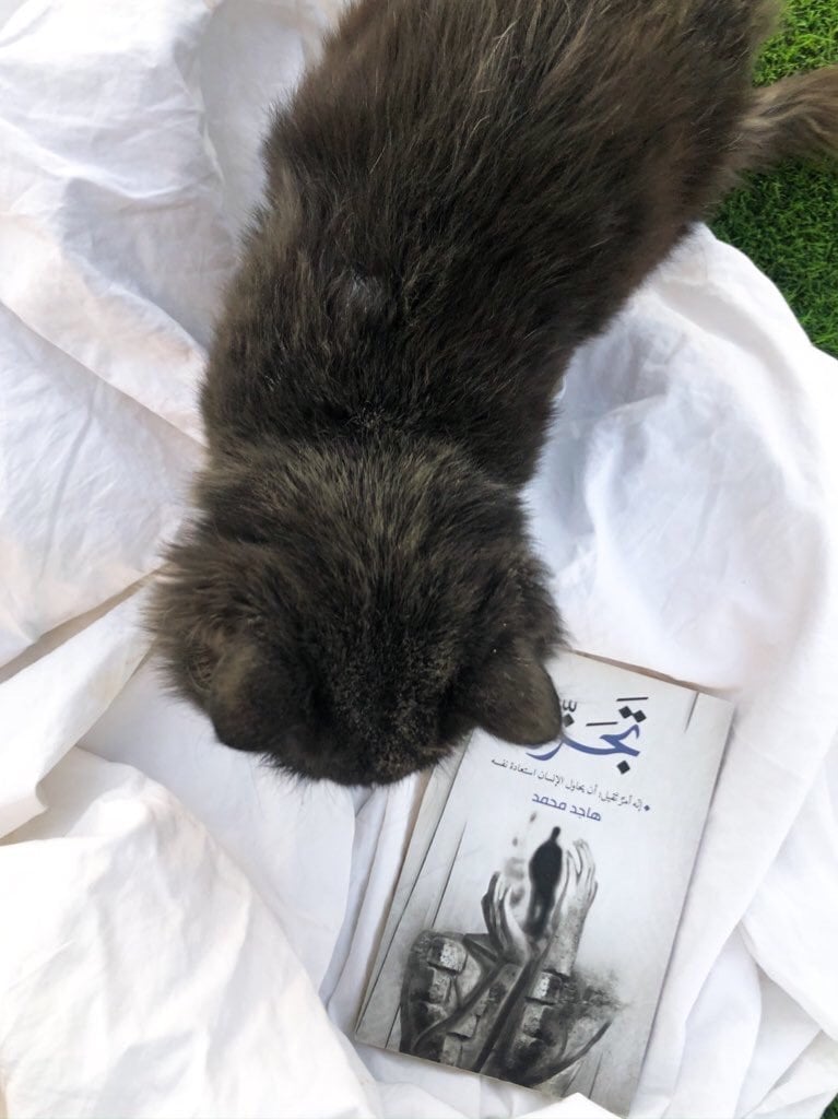 منيره العتيبي