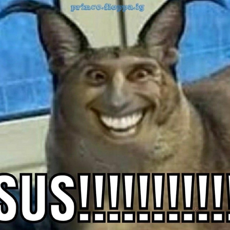 سلطان الشمري