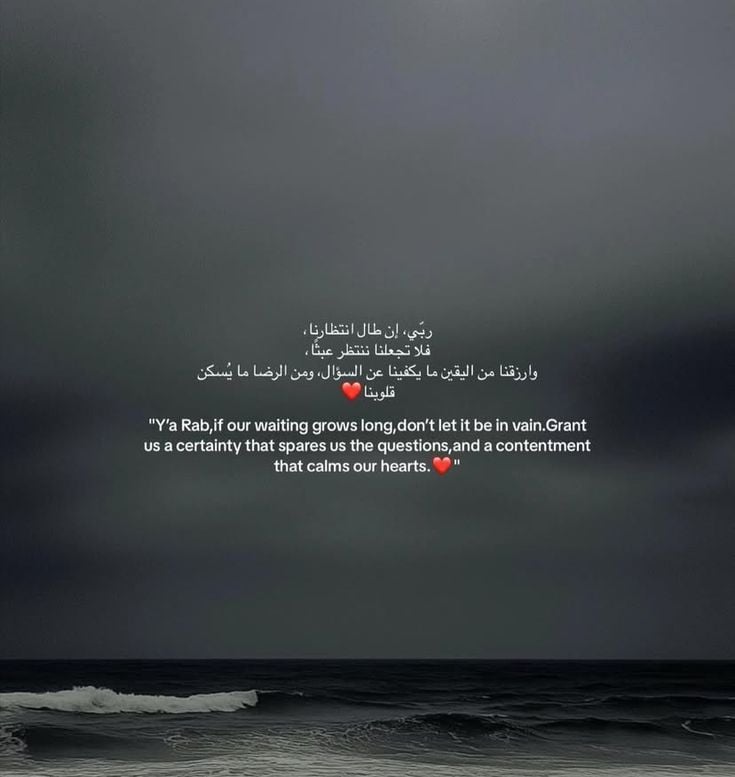 شذى 