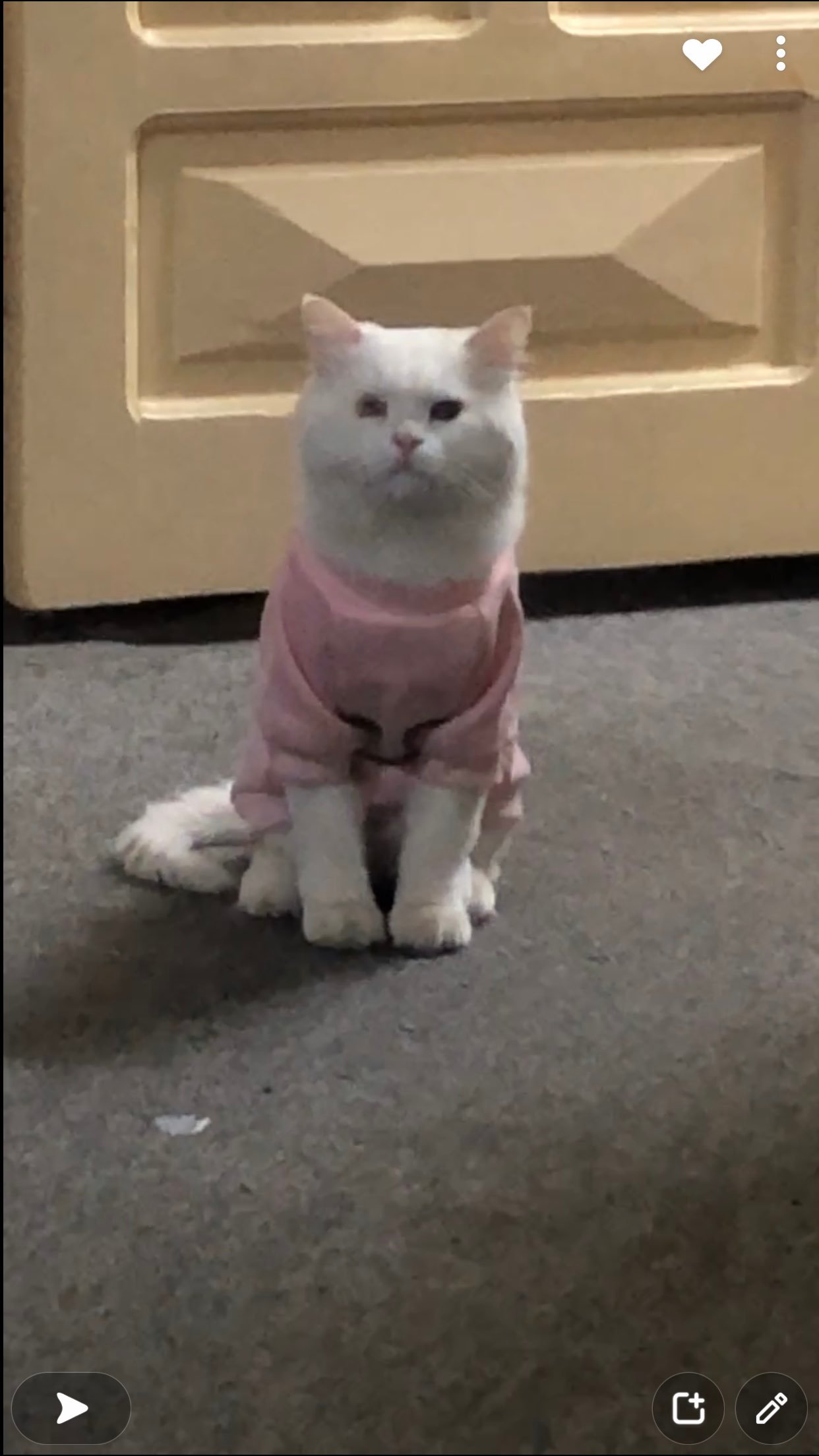 الين الشهري