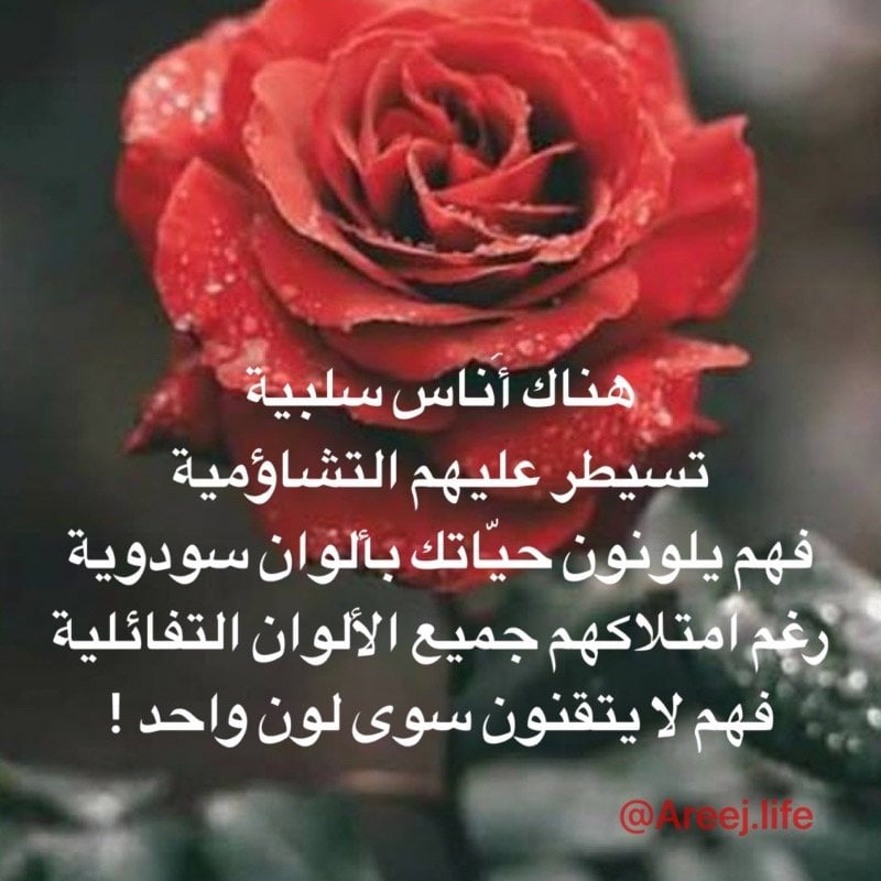أريج الخليفة