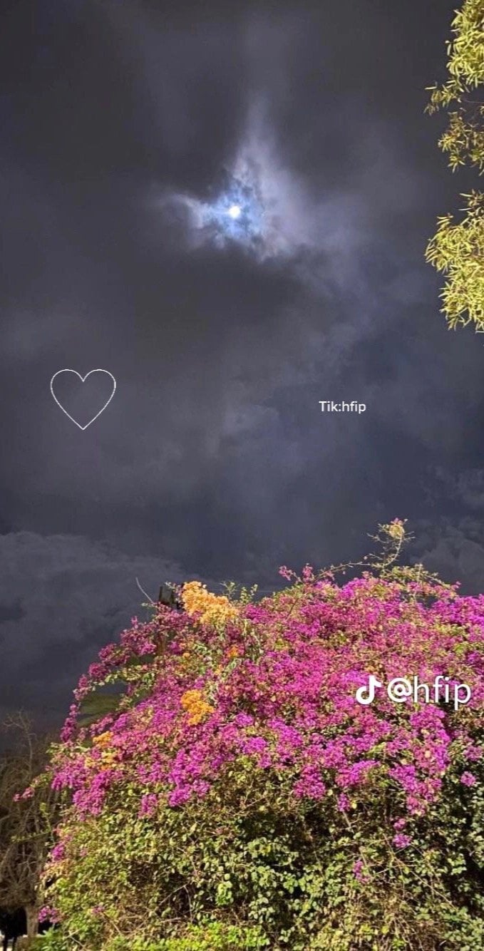 عبدالولي المطيري