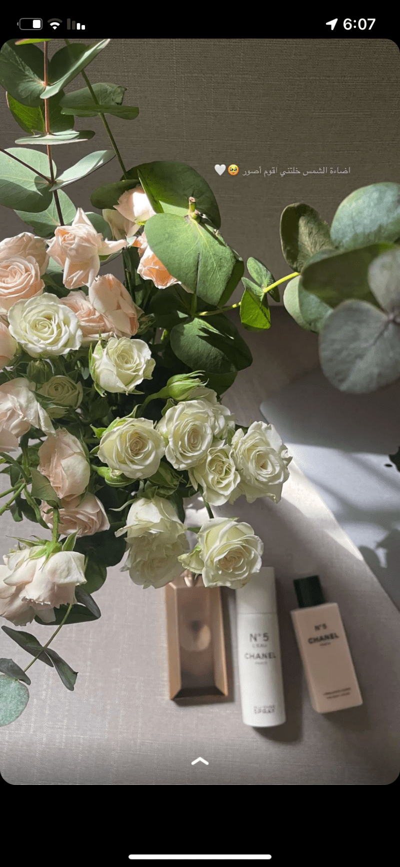 منى عوض القحطاني