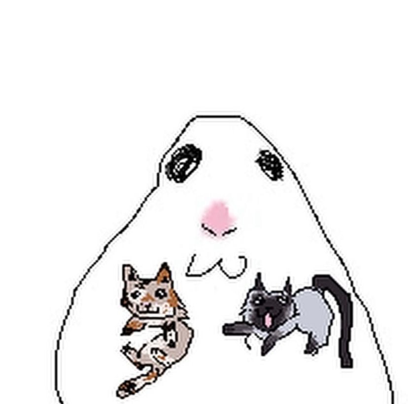 شيماء العمري