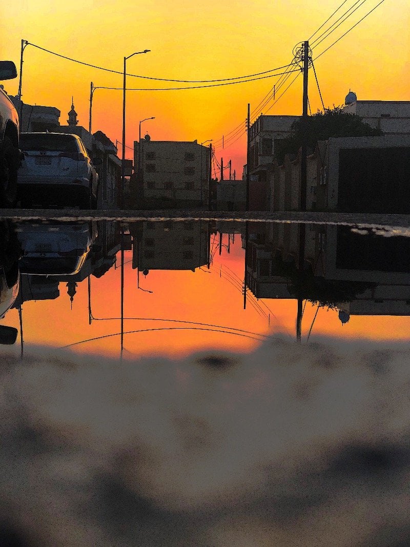 عبدالملك عبود