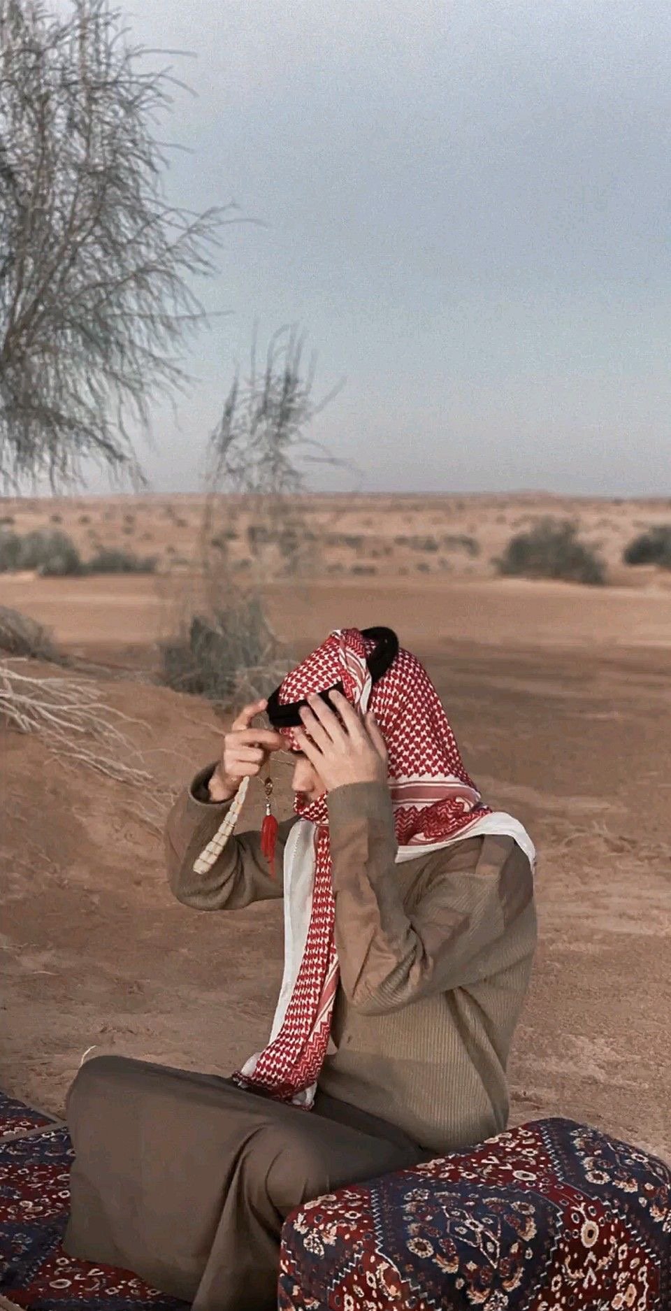 سليمان حامد