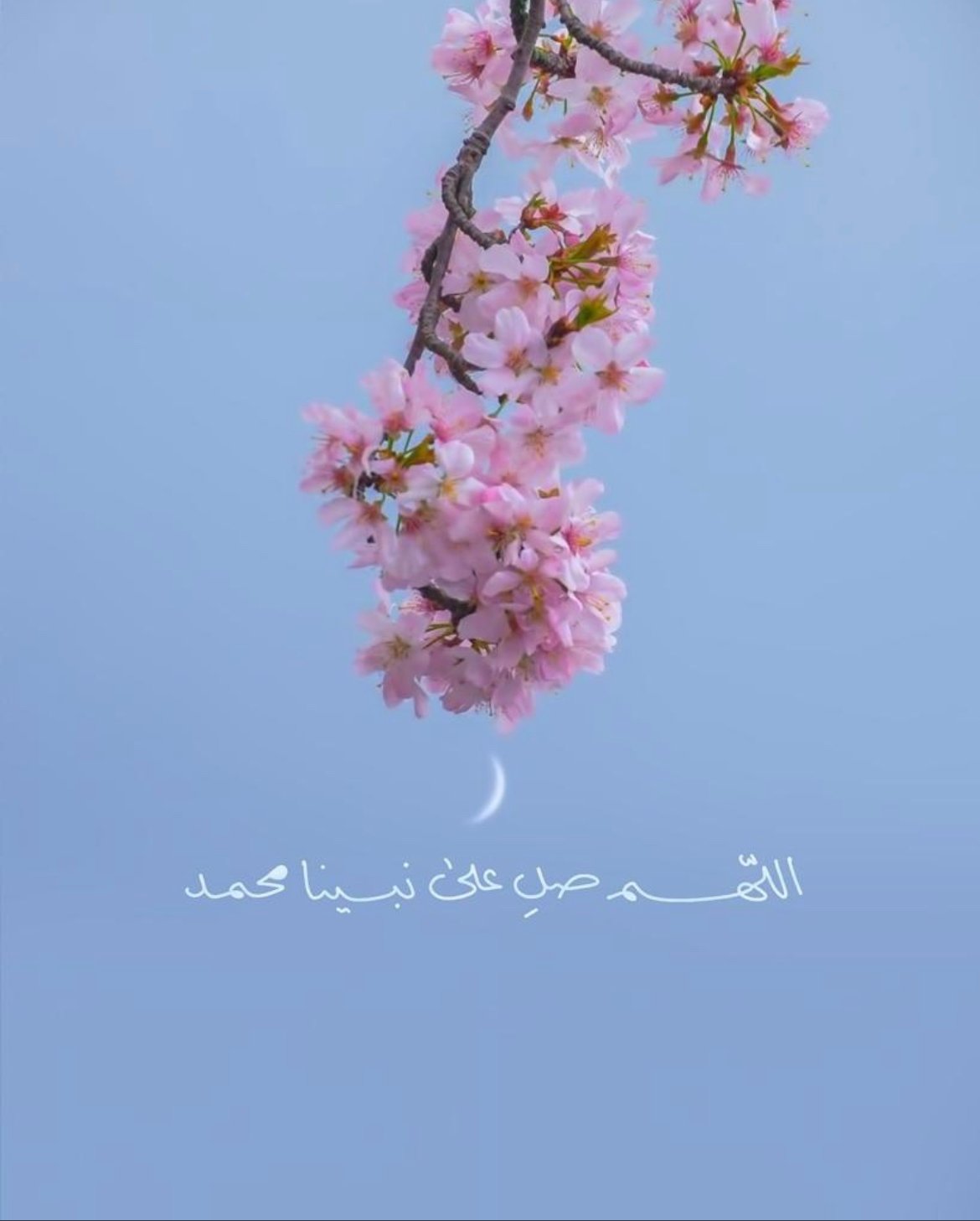 وليد علي