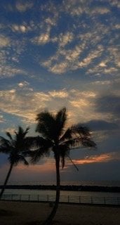 بشائر اللحياني