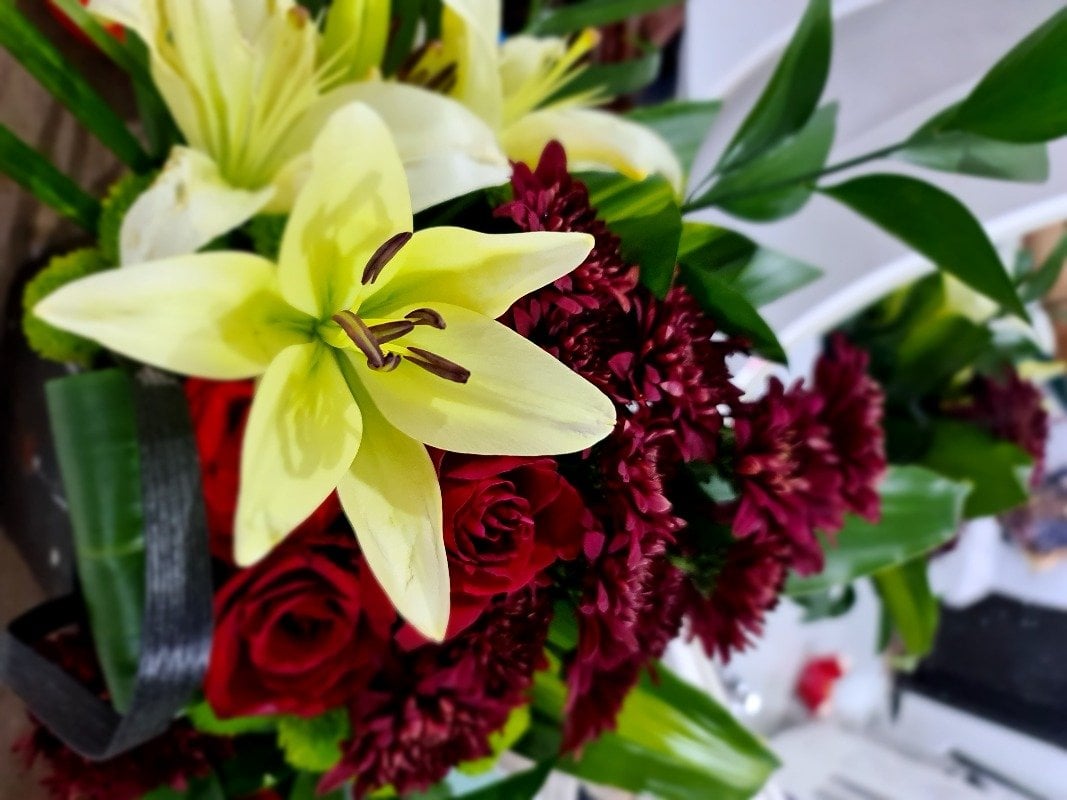 فلوه الشهراني