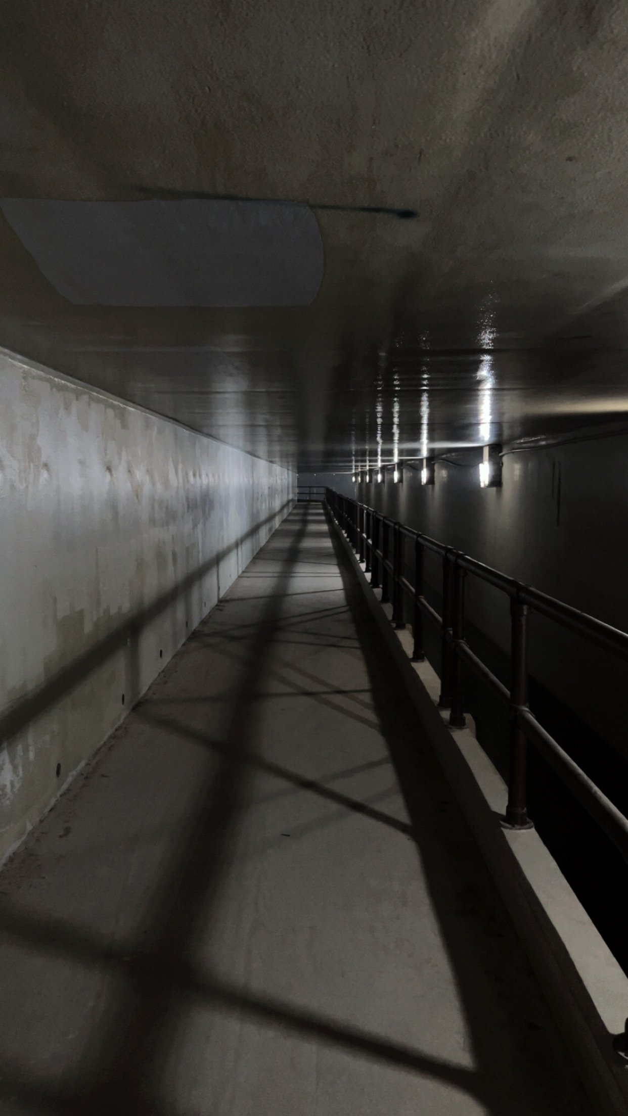 سامي عبدالعزيز