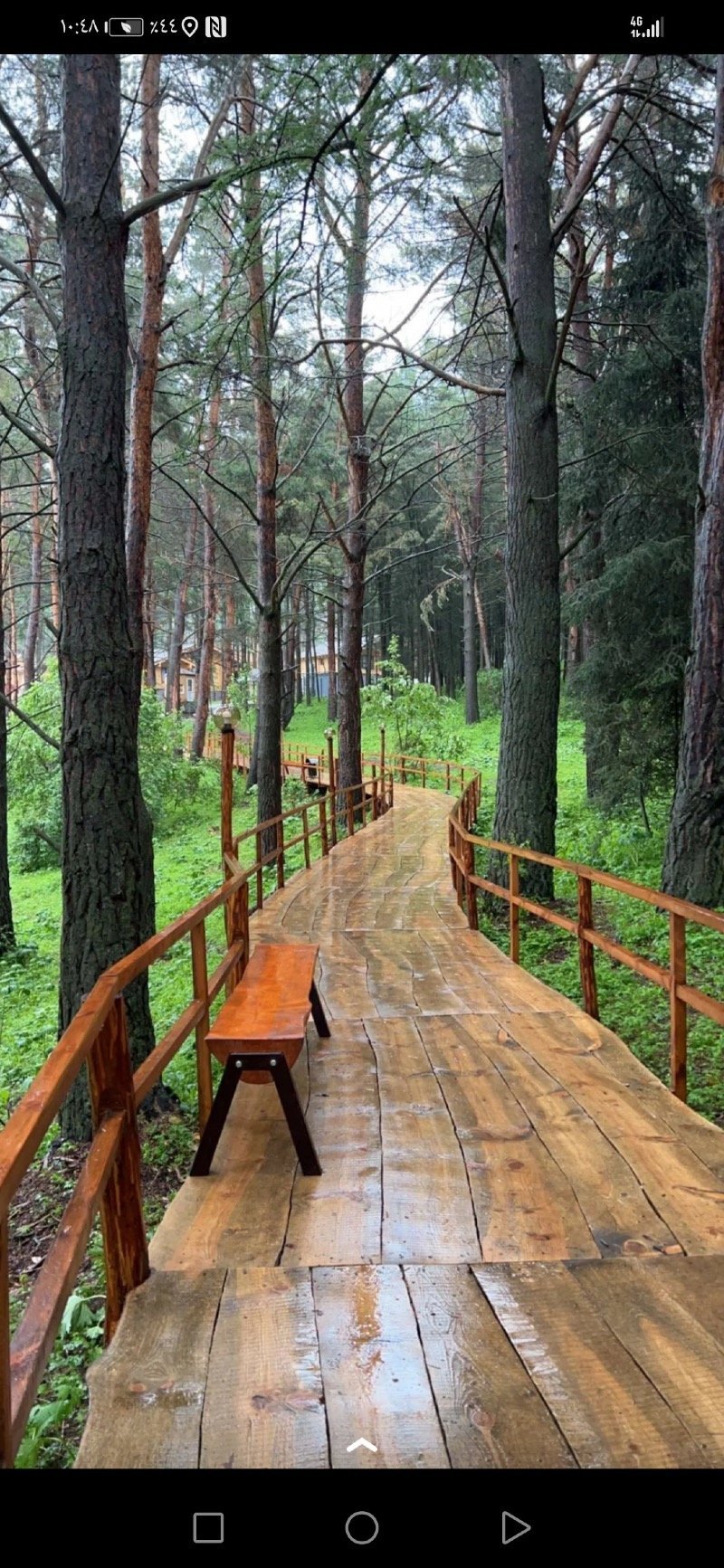 عرنان عبدالهادي القحطاني 