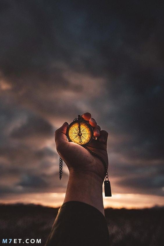 هدى شراحيلي