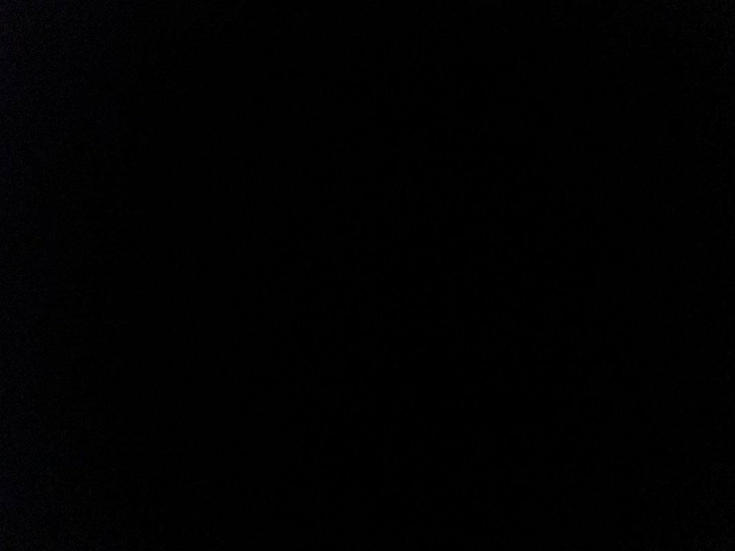 ريا علي الفالح