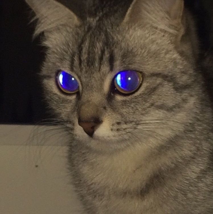 sultan O