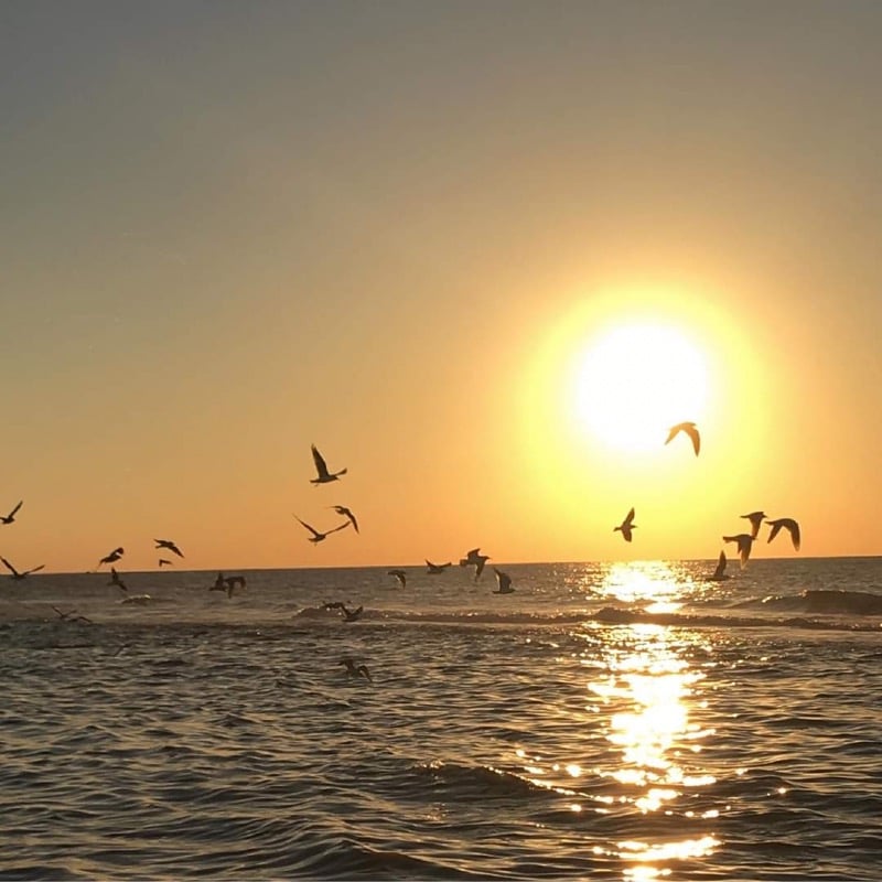 باسم الصبحي